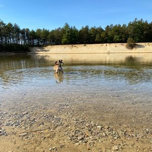 Meet your Posher, Bella